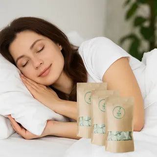 3 Sachets Artemisia Annua – Aide sommeil naturel