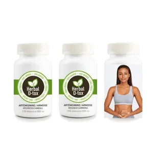 Artemisia Annua : Comment booster votre métabolisme ?