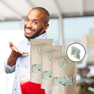 Choisir Artemisia Annua L 100% Armoise Pure Infusettes