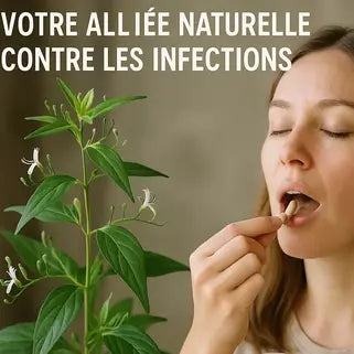 Chirette verte : votre alliée naturelle contre les infections