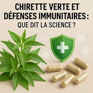 Chirette verte et défenses immunitaires : que dit la science ?