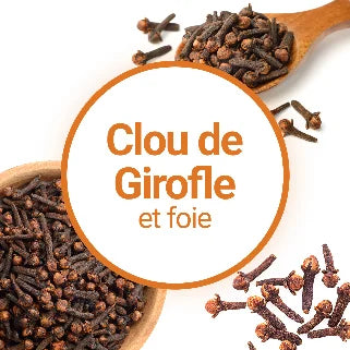 Les Capsules de Clous de Girofle Sont-elles Bonnes pour la Santé du Foie ?