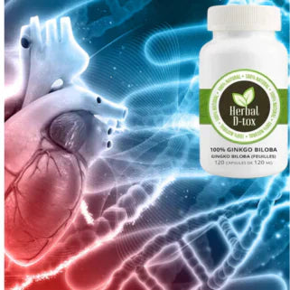 DETOX Ginkgo Biloba Ameliore Circulation et Sante!