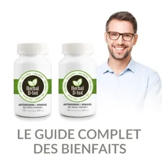Gélules Artemisia Annua : Combien de temps pour un résultat ?