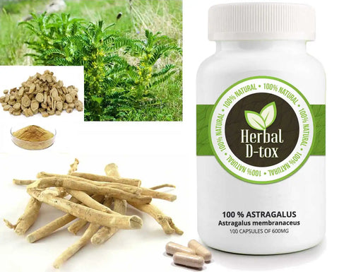 Les capsules d'Astragale sont-elles certifiées biologiques ?