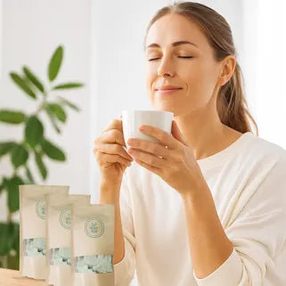 Quelle différence entre thé classique et Corossol