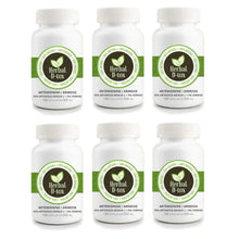 Charger l'image dans la galerie, 6 boites de 100 capsules d'artemisinine de marque Herbal D-tox