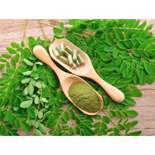 Charger l'image dans la galerie, L'image montre des feuilles de moringa avec des gélules et de la poudre dans des cuillères en bois, présentant ses formes de consommation.