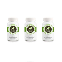 Charger l'image dans la galerie, L'image montre trois flacons de compléments alimentaires à base d'Andrographis paniculata, étiquetés "Herbal D-tox". Chaque flacon contient 100 gélules de 500 mg chacune. Le produit est présenté comme 100 % naturel, mettant en avant ses bienfaits pour la santé. Les flacons sont disposés côte à côte, soulignant la disponibilité du produit en quantité multiple.