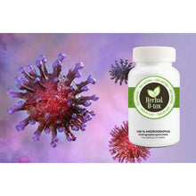 Charger l'image dans la galerie, L'image présente un flacon de complément alimentaire à base d'Andrographis paniculata, étiqueté "Herbal D-tox". Le flacon est entouré d'illustrations de virus, suggérant que le produit pourrait être utilisé pour soutenir le système immunitaire ou aider à combattre les infections. Le produit est décrit comme 100 % naturel et contient 100 gélules de 500 mg chacune. L'étiquette met en avant les bienfaits naturels du produit, soulignant son origine végétale et ses propriétés potentielles pour la santé.