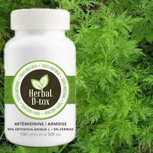 Charger l'image dans la galerie, L'image montre une boite de 100 capsules Armoise annuelle, de marque Herbal D-tox avec des plants d'armoise en fond.