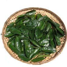 Charger l'image dans la galerie, L'image montre un panier rempli de feuilles vertes fraßches, probablement des feuilles de séné ou d'une plante similaire, utilisées pour des infusions.