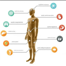 Charger l'image dans la galerie, le Curcuma agit favorablement sur l'organisme