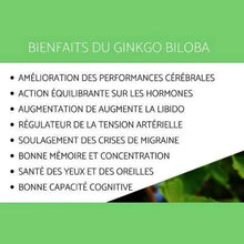 Charger l'image dans la galerie, Bienfaits du Ginkgo Biloba : améliore les performances cérébrales, équilibre les hormones, augmente la libido, régule la tension artérielle, soulage les migraines, améliore la mémoire, la concentration, la santé des yeux et des oreilles, et la capacité cognitive.