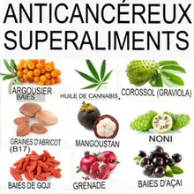 Charger l'image dans la galerie, Liste d'aliments anticancéreux : argousier, huile de cannabis, corossol, graines d’abricot, mangoustan, noni, grenade, baies d’açaï.