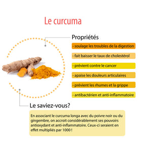 Curcuma / Turmeric + 5% Piperine (Curcuma  Longa + Piperine) - 100 x 500mg