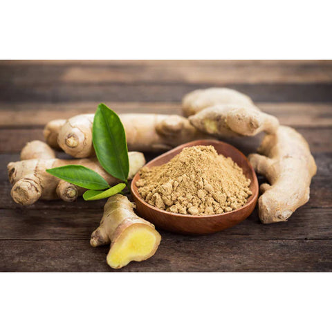 Pourquoi le Zingiber Officinale est-il considéré comme un antioxydant ?