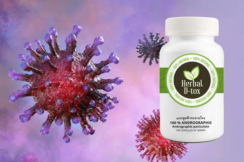 L'Andrographis favorise une fonction immunitaire saine