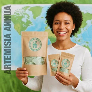 Artemisia annua : remède naturel contre le paludisme