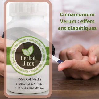 Cinnamomum Verum : effets antidiabétiques et bienfaits santé