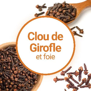 Les Capsules de Clous de Girofle Sont-elles Bonnes pour la Santé du Foie ?
