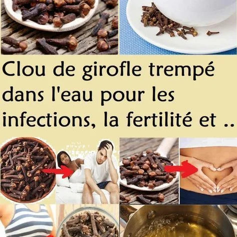 Clous de Girofle : votre allié contre les infections