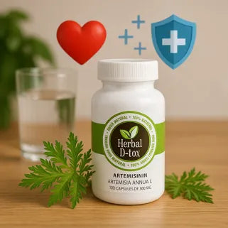 Commencer une cure d’Armoise annuelle Pure