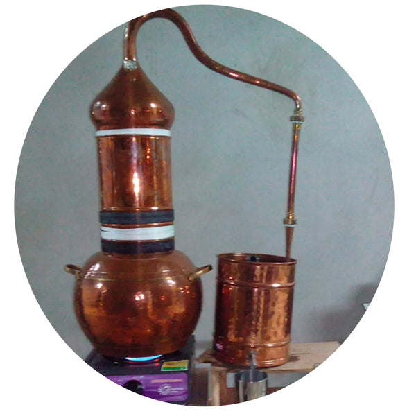 Comment consommer du corossol liquide?