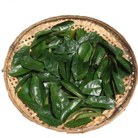 D'où le corossol est-il originaire ?