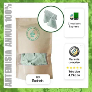 Sachet de 60 sachets d'Artemisia Annua 100%, livraison express, garantie comprise