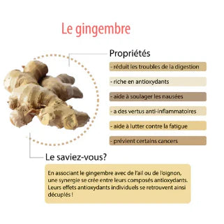 Zingiber Officinale (Gingembre) : Bienfaits, Utilisations et Avis