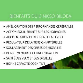 Ginkgo Biloba 100 Capsules 120mg : Bienfaits, Usages et Avis