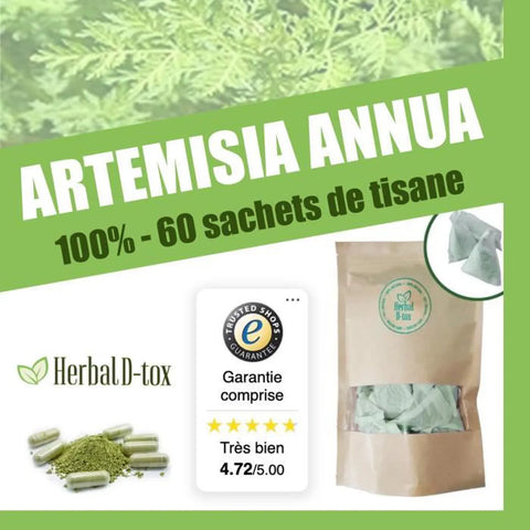 Le traitement du paludisme avec l'Artemisia Annua