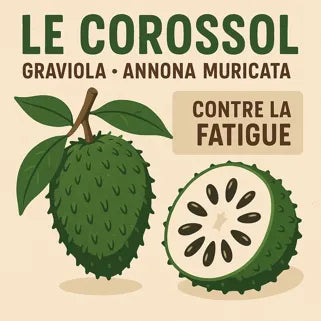 Le Corossol / Graviola Annona Muricata Extrait Liquide Pur 500ml