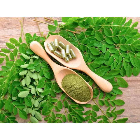 Les bienfaits de la chlorophylle dans le moringa