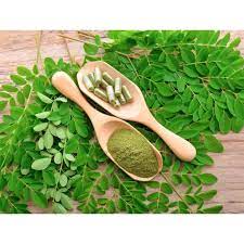 Le moringa et ses bienfaits