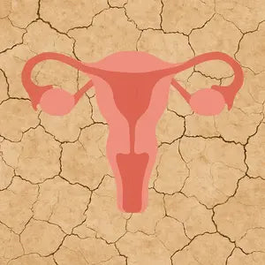 Traitement hormonal naturel contre la sécheresse vaginale