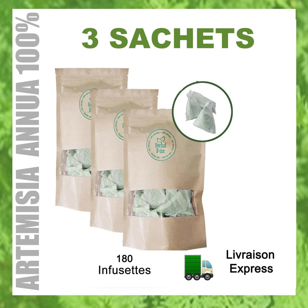 3 Paquets - Artemisia Annua L (Artémisinine / Armoise)  -  180 sachets de thé prêt à être utilisé