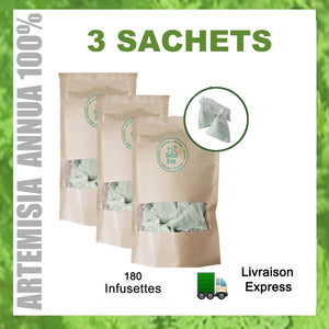 3 Paquets - Artemisia Annua L (Artémisinine / Armoise)  - 180 sachets de thé prêt à être utilisé