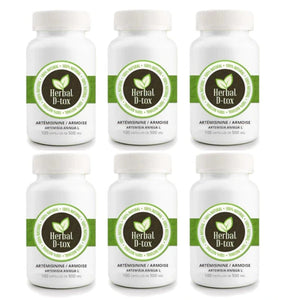 Armoise 6 boîtes gélules 500mg Artemisia Annua 100% traitement naturel