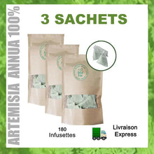 Laden Sie das Bild in den Galerie-Viewer, L'image montre trois sachets de "Herbal D-tox" contenant 180 infusettes d'Artemisia annua 100 % naturel, avec livraison express.