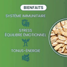 Charger l&#39;image dans la galerie, L&#39;image met en avant les bienfaits d&#39;un produit pour le système immunitaire, l&#39;équilibre émotionnel et le stress, ainsi que pour le tonus et l&#39;énergie. Ces avantages sont illustrés par des icônes, soulignant l&#39;impact positif sur la santé globale.