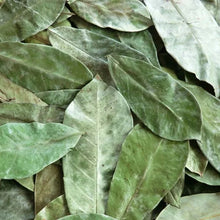 Charger l&#39;image dans la galerie, L&#39;image montre des feuilles de séné séchées, utilisées pour préparer des infusions naturelles.