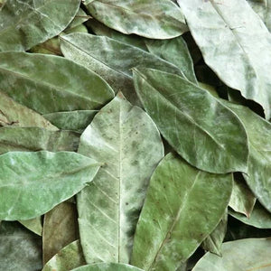 L'image montre des feuilles de séné séchées, utilisées pour préparer des infusions naturelles.