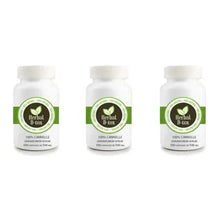 Charger l'image dans la galerie, Trois flacons blancs identiques de complément alimentaire « Herbal D‑tox », étiquettes vertes et blanches avec un logo de feuille. Mentions : 100 % cannelle, Cinnamomum verum, 100 capsules de 500 mg. Les bouteilles sont alignées, éclairage neutre, présentation produit simple et épurée.