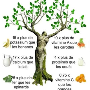 L'image compare les nutriments du moringa à ceux d'autres aliments : 15x potassium des bananes, 10x vitamine A des carottes, 17x calcium du lait, 4x protéines des œufs, 25x fer des épinards, et 0,75x vitamine C des oranges.