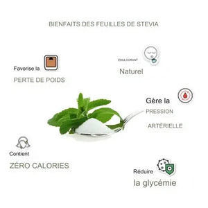 les bienfaits de Stévia (Stevia Rebaudiana) - Boite de 100 capsules de 500mg - Herbal D-tox