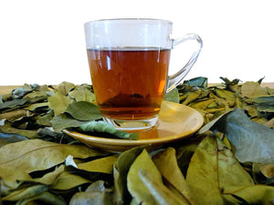 L'image montre une tasse de thé posée sur des feuilles séchées, mettant en avant une infusion naturelle à base de plantes.