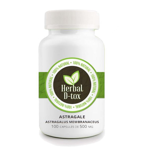 Astragalus Membranaceus (Astragale) - Boite de 100 capsules (vegan) de 500mg
