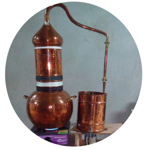 Annona Muricata (Corossol / Graviola) - Extrait Liquide Pur de Corossol/Graviola 500ml